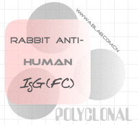 兔抗人IgG(FC)