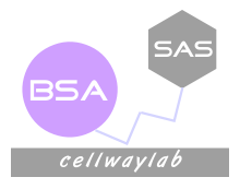 BSA-SAS(牛血清白蛋白-磺胺）