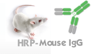 HRP-Mouse IgG(HRP小鼠IgG）