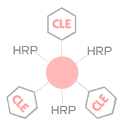 HRP-CLE(辣根酶标记克伦特罗）