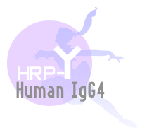 HRP-Human IgG4(HRP-IgG4）