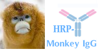 HRP-Monkey IgG (辣根酶标记猴IgG)