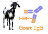 HRP-Goat  IgG (辣根酶标记山羊IgG)